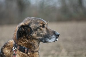 comp_SDIM4740.jpg comp_SDIM4740.jpg