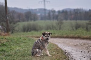 comp_SDIM4743.jpg comp_SDIM4743.jpg