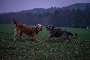 comp_DSC04939.jpg comp_DSC04939.jpg