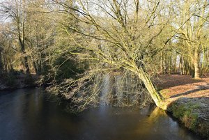 Compressed_0113.jpg Compressed_0113.jpg