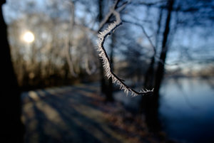 DSCF7196.jpg DSCF7196.jpg