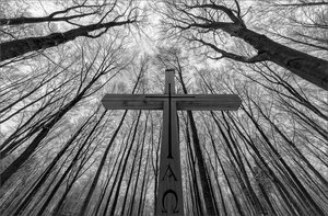 Kreuz _ Friedwald Kopie.jpg