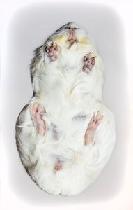 Bild 1.jpg Bild 1.jpg