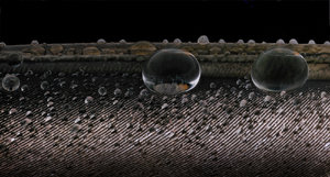 Fremde Welten 02.jpg