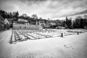 DSCF7387-Bearbeitet-Bearbeitet.jpg DSCF7387-Bearbeitet-Bearbeitet.jpg