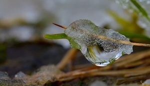 Kunst im Schnee klein.jpg