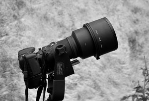 Nikon D7100 + 300 2,8 klein.jpg