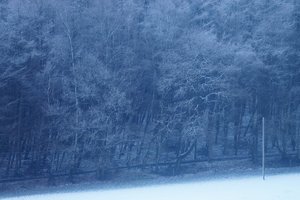 Forum DSC01882grade Nex5r + Alu Sonnar 4,0 135mm©PPf.jpg