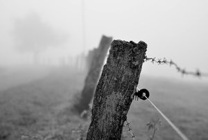 Zaunpfahl Nebel klein.jpg