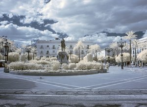 comp_IMG_8800-1.jpg comp_IMG_8800-1.jpg