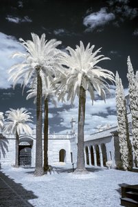 comp_IMG_8804.jpg comp_IMG_8804.jpg