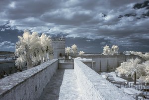 comp_IMG_8832-1.jpg comp_IMG_8832-1.jpg