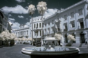 comp_IMG_8934-1.jpg comp_IMG_8934-1.jpg