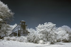 comp_IMG_2374-1.jpg comp_IMG_2374-1.jpg