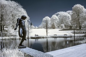 comp_IMG_2501-1.jpg comp_IMG_2501-1.jpg