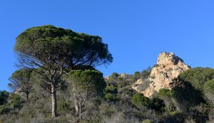 Tossa de Mar9 klein.jpg