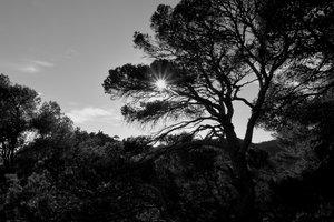 Tossa de Mar10 klein.jpg