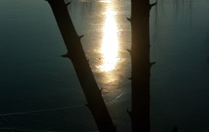 frostig See klein.jpg