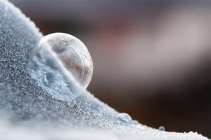 20170122-DSCF2406 bearb..jpg