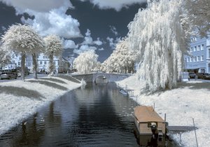 comp_IMG_8332+.jpg comp_IMG_8332+.jpg