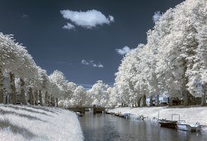 comp_IMG_8464+.jpg comp_IMG_8464+.jpg