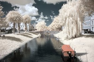 comp_IMG_8332++.jpg comp_IMG_8332++.jpg