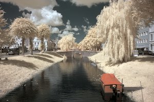 comp_IMG_8332-1.jpg comp_IMG_8332-1.jpg