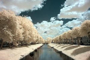 comp_IMG_8413-1.jpg comp_IMG_8413-1.jpg