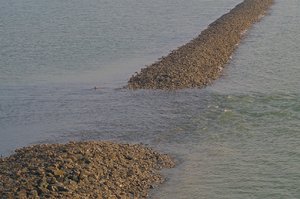 EckwarderhörneEckwarderhörne (4)Natur.jpg