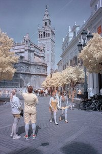 comp_IMG_8710.jpg comp_IMG_8710.jpg