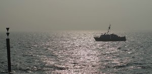 EckwarderhörneEckwarderhörne (3)Natur.jpg