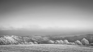 für Fotoforum-1.jpg