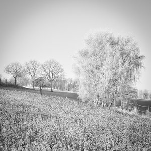 für Fotoforum-2.jpg