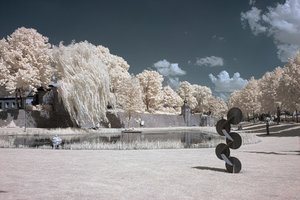 comp_IMG_3179++.jpg comp_IMG_3179++.jpg