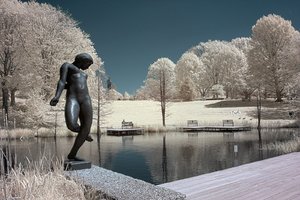 comp_IMG_2501++.jpg comp_IMG_2501++.jpg