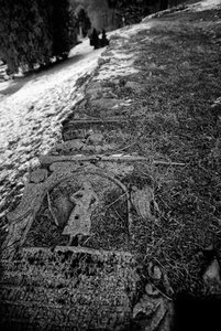 DSCF0506-Bearbeitet.jpg DSCF0506-Bearbeitet.jpg