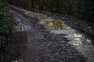 Forum DSC02234psf2 Nex5r + Canon FD 1,8 50mm©PPf.jpg