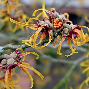 P1020440 k Kopie.jpg