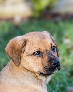 DSC_4126.jpg DSC_4126.jpg