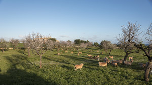 für Fotoforum-11.jpg