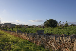 für Fotoforum-12.jpg