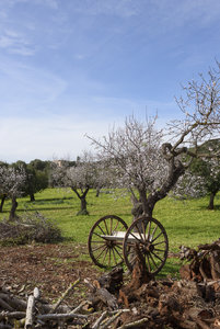 für Fotoforum-13.jpg