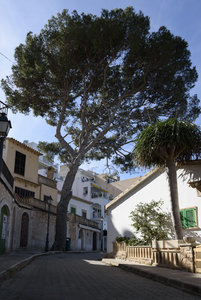 für Fotoforum-14.jpg