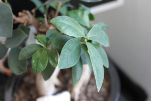 2017-02-18 09.32.39.jpg