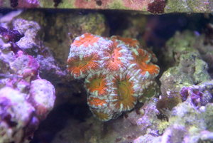 2017-02-18 09.34.13.jpg