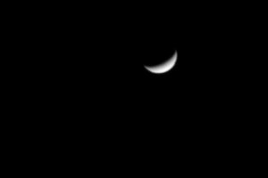 Venus_800px.jpg
