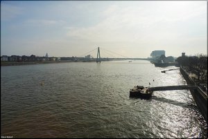 37 Wintersonne Koeln am Rhein.jpg