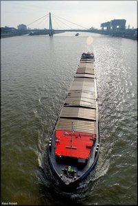 42 Wintersonne Koeln am Rhein.jpg