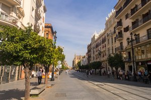 comp_SAM_0962.jpg comp_SAM_0962.jpg