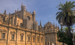 comp_SAM_0971.jpg comp_SAM_0971.jpg